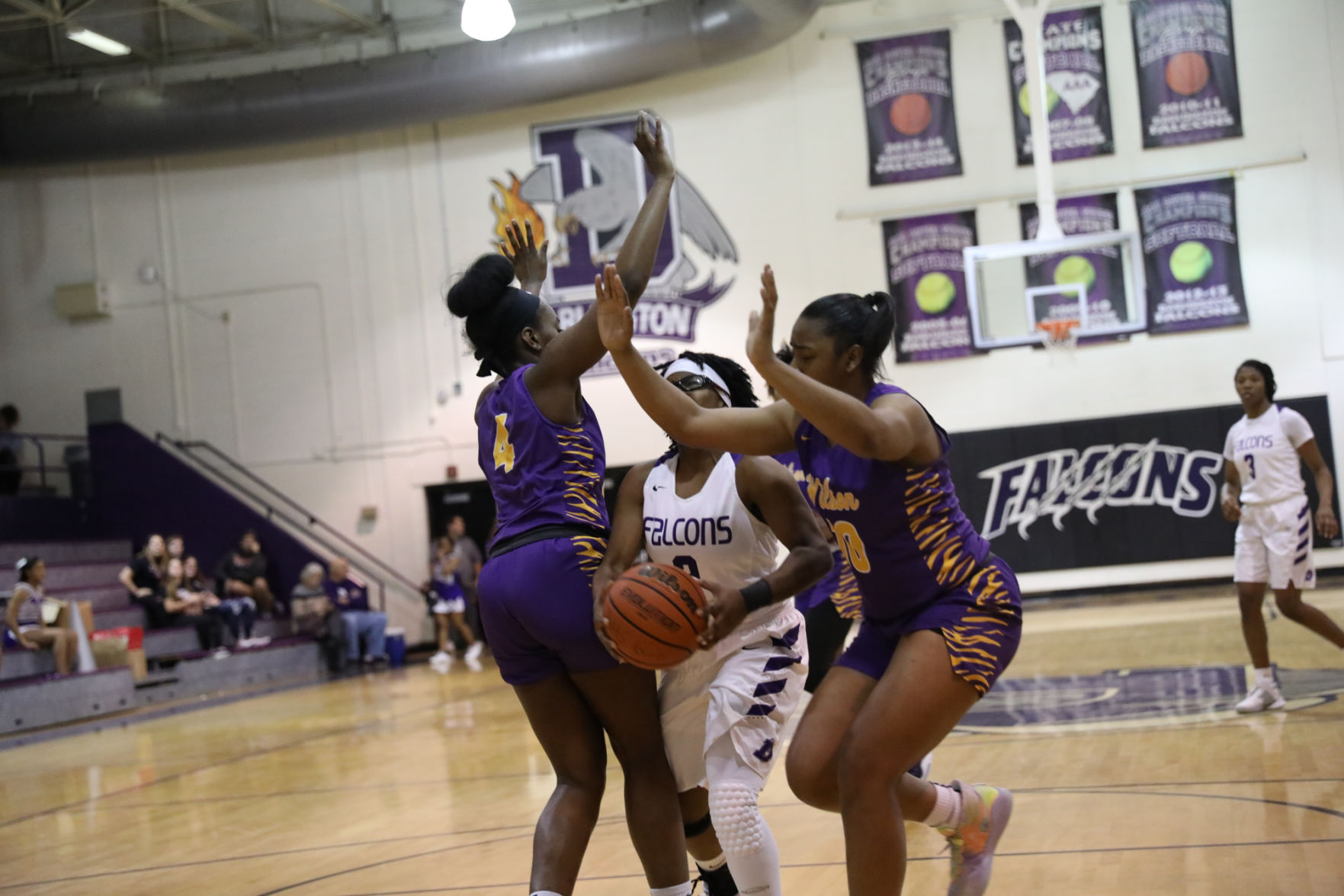 Wilson at Darlington Basketball